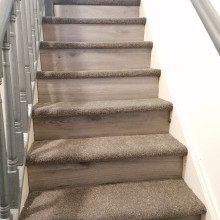 Apollo Plus,
Nigella