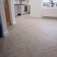 Orion,
Laurel oak 161L