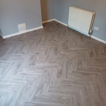 Orion,
Laurel Oak 901m