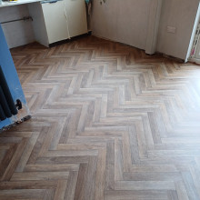 Gladiator,
Alaska 543